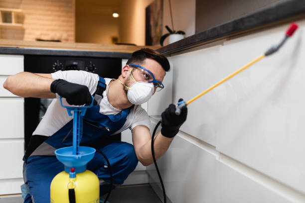 Professional Pest Control in Diaz, AR