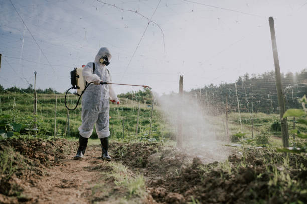 Best Best Pest Control Companies  in Diaz, AR