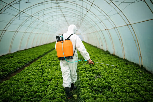 Pest Control Cost in Diaz, AR