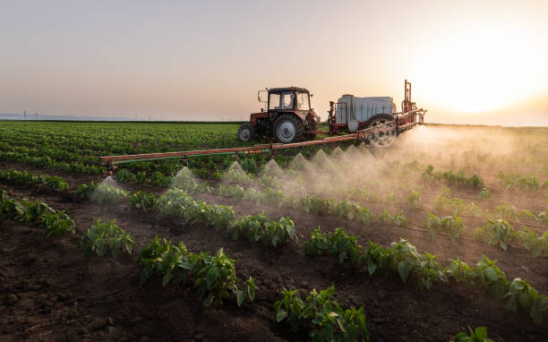 Best Commercial Pest Control Services  in Diaz, AR