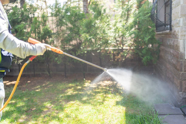 Best Pest Removal Services  in Diaz, AR