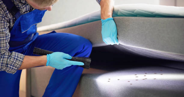 Best Mosquito Control Services  in Diaz, AR