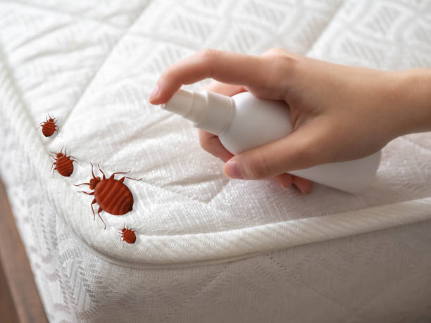 Best Exterminator Services  in Diaz, AR