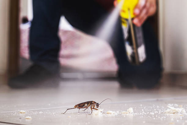 Best Wildlife Control Services  in Diaz, AR