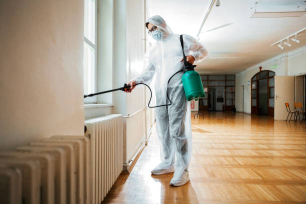 Best Affordable Pest Control Services  in Diaz, AR