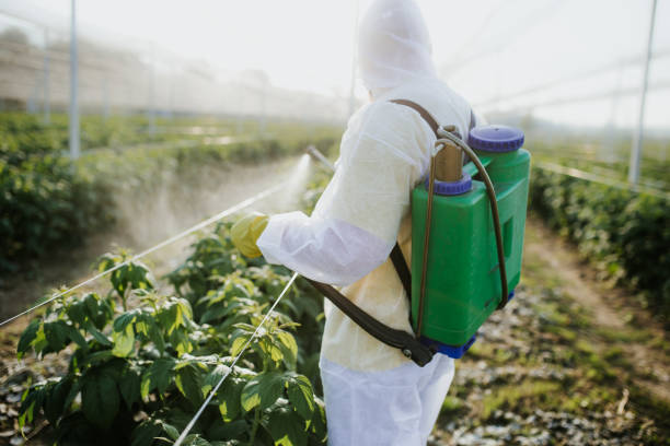 Best Best Pest Control Near Me  in Diaz, AR